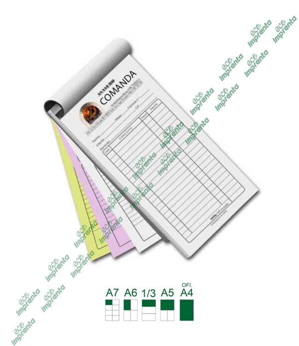 FORMATOS CON AUTOCOPIATIVO